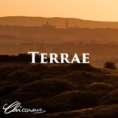 Terrae