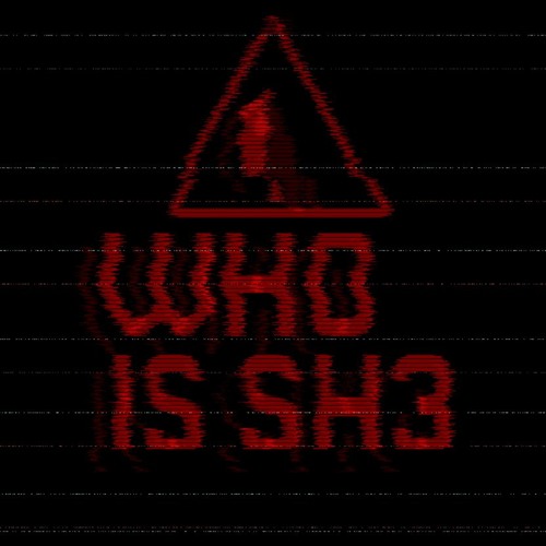 WHO IS SHE / TRIBUTE AN FABITEKK