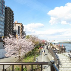 浅草 inst