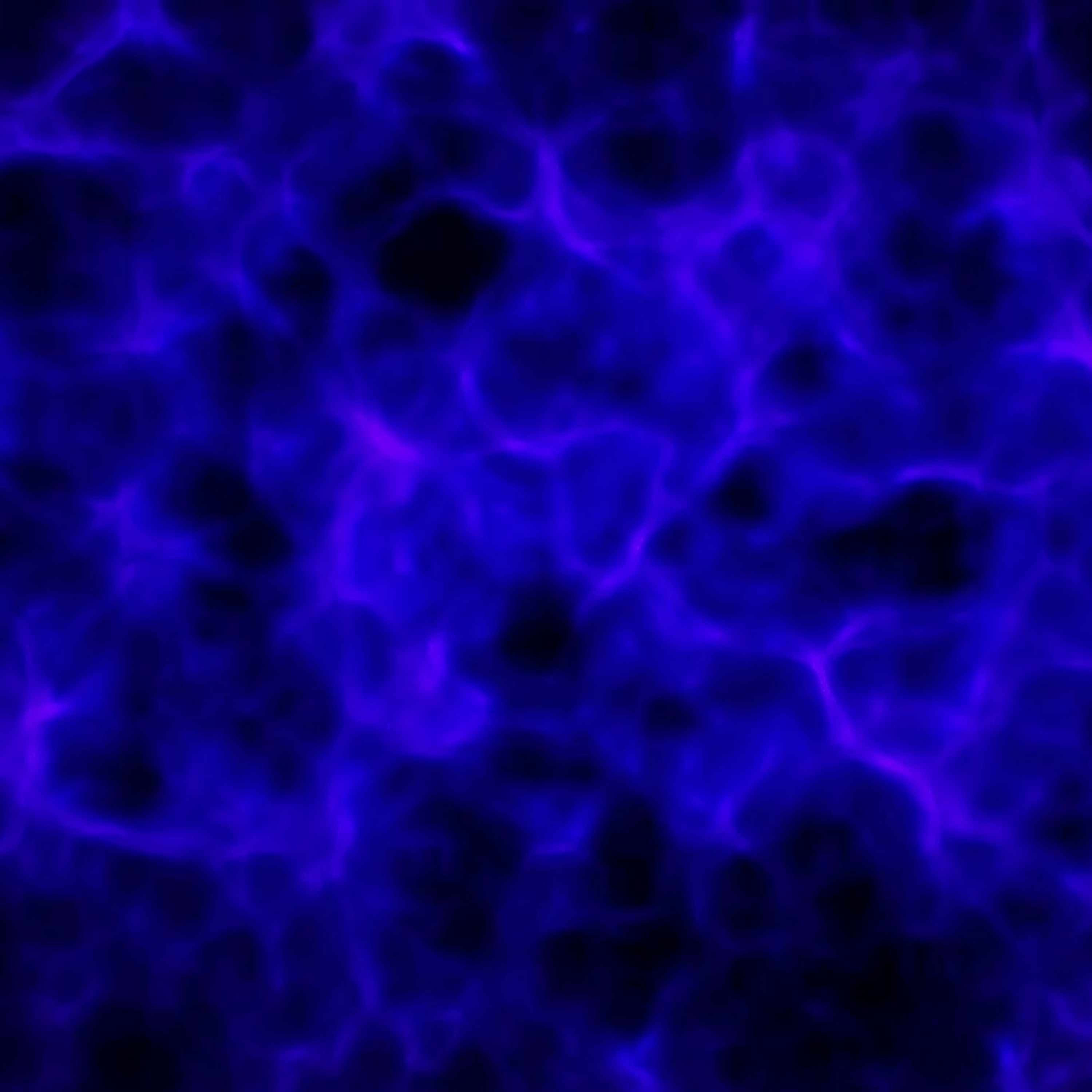 blue, unblue episode artwork