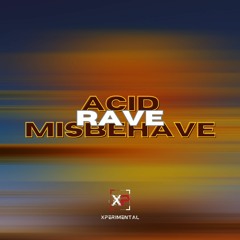 ACID RAVE MISBEHAVE - DJ Edition