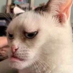 SUDAH TAUBAT GAN!  #MONGJEE