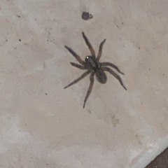 50RACKS (ft.Rxknephew)