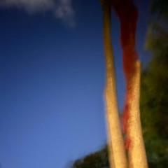 look up to the sky (prod.1kairfrii X Silent)