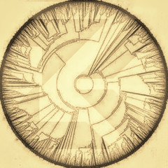 Zolkraft 465 Indielectronica MiX