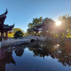 Knutsel mijn dag | Live session