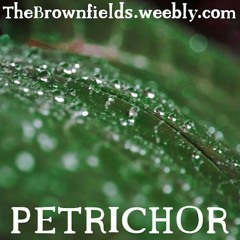 Petrichor