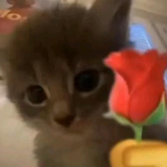 Free Indeed remix (WXRTHLESS)