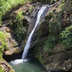 Review Special Price West Coast Rum Distillery Concord Waterfall Nutmeg Processing