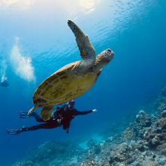 Julia - John Lennon - Acoustic Cover by Gabriella White - Sunrise Jam - 8th March 2026