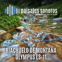 Riachuelillo [Olympus LS-11, Primo EM60]