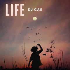 DjCAS - Life
