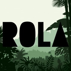 In the Jungle