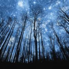 if i freeze -paper armoury & tekken 142