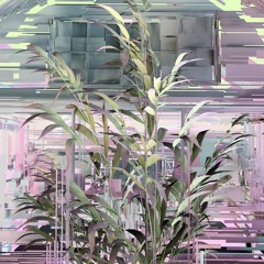 CONNECTIVITY (Olga Wojciechowska Rework)