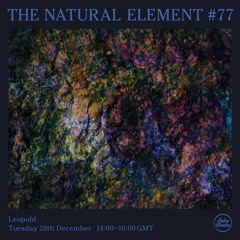 The Natural Element #77 -  28th December 2021