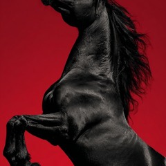 Dance / Pop practice freestyle session 11/28/25