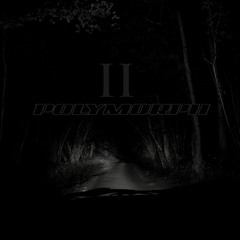 REAL COUNTRY DARK (part II)