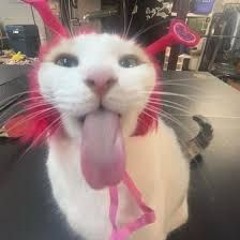 ⛧ My Waifu Better ⛧