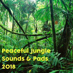 Binaural Beats and Jungle Sounds
