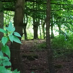 When All Falls Silent (Silvestri/Woodley) (rec RMCC)