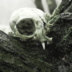 Fermenting Behaviour