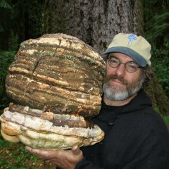 Solutions from the Underground: Mushrooms as Planetary Healers