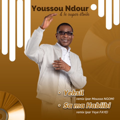 Yeksil (Moussa Ngom Remix)