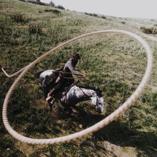 DECK FOUET_( CRZER X NRX )