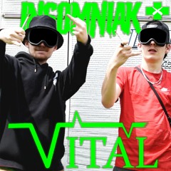 [BONUS] INSOMNIAK - VITAL ( Jesse Pinkman Jr. & Papri-K )