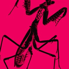 NEUROFUCKER