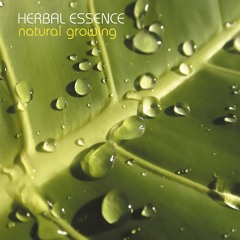 Babyface (Original Mix)