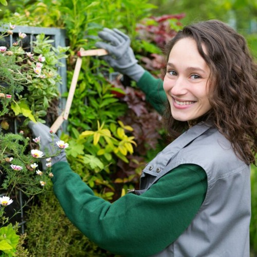 Stream Best Lawn Care Website Design by Landscape Website Designs