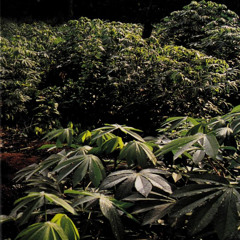 hard daze work (12.01.25)