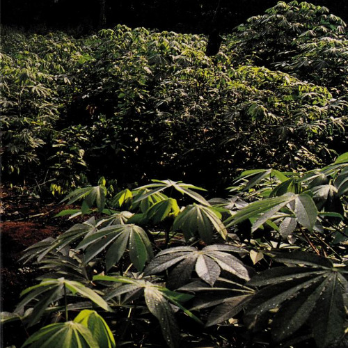 hard daze work (12.01.25)