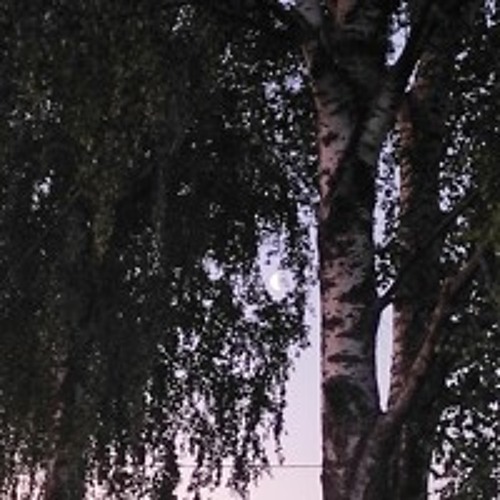 макsим - отпускаю [floxx. remix]