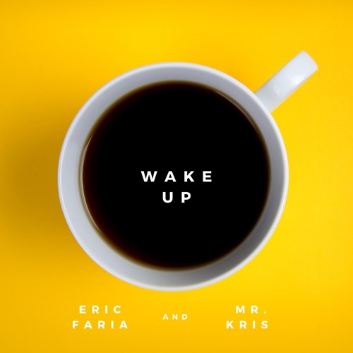 Eric Faria & Mr.Kris - Wake Up(Original Mix) >>>> FREE DOWNLOAD