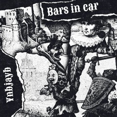bars in car