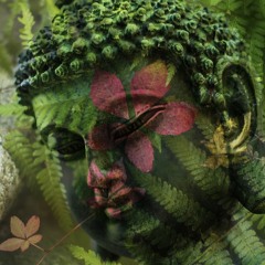 Mantras Verdes (Green Mantras)