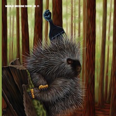 Discography of Madlib (ReleaseDate)_part2