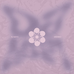 dj wifi - Walk Me Trough (Mathis Ruffing Remix)