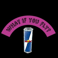 What If You Fly?