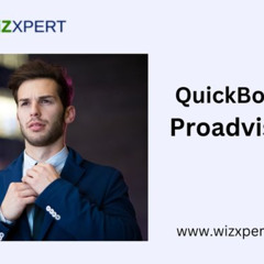 Maximize Efficiency with QuickBooks ProAdvisors