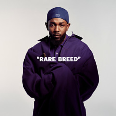 Kendrick Lamar Type Beat "Rare Breed"