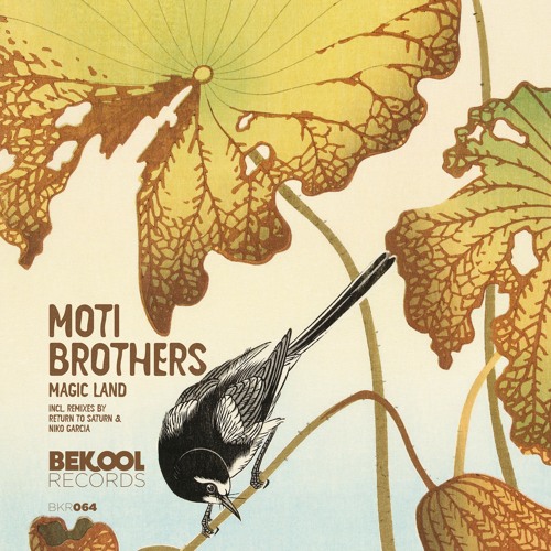 Moti Brothers - Magic Land (Original Mix)