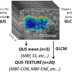 Oncotarget - Generation Of Parametric And Texture Maps From Radiofrequency Data