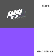 CAUGHT IN THE MIX - 111