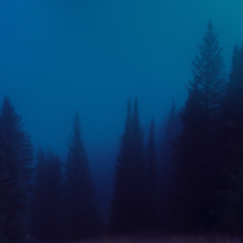 What it feels like to be up at 4am