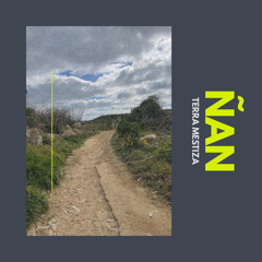 Ñan