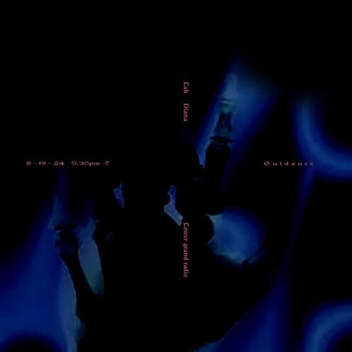 Guidance w/ Lak b2b Diana for lower grand radio (08 19 2024)